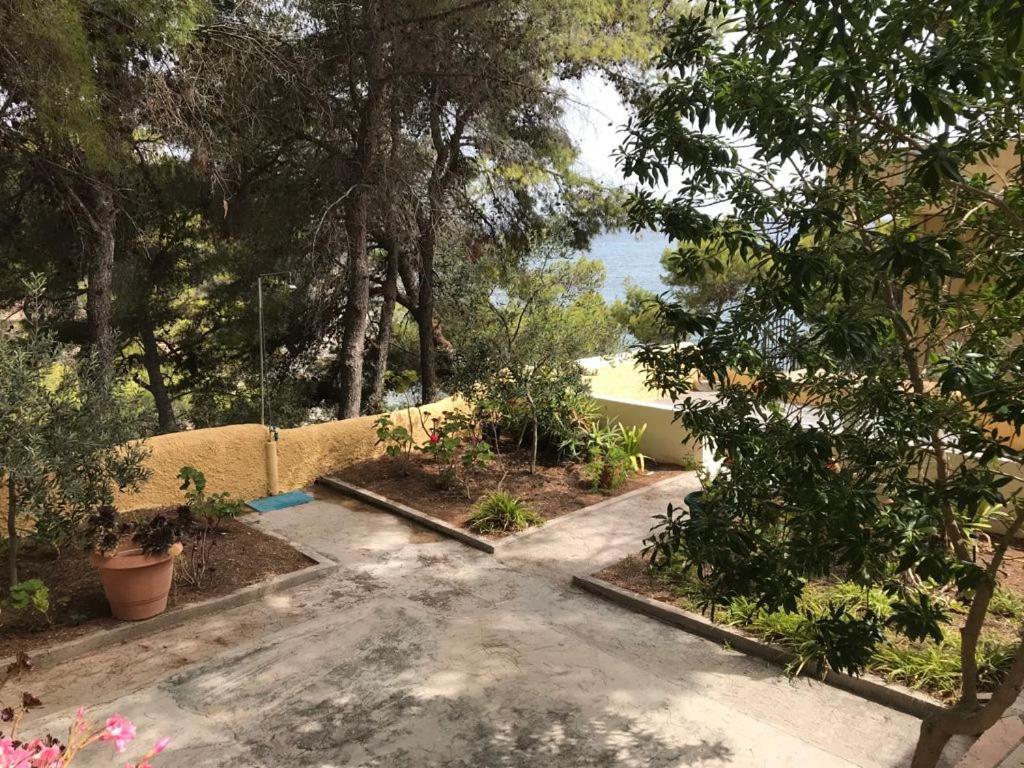 Agia Marina Vana Kavosアパートメント エクステリア 写真